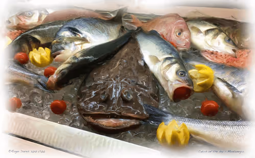 Item #25766228410116791685339336380012731519026805930459738932816938916063263850596 Media