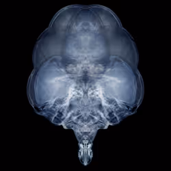 85859191866638808365331437874953228966785819470149775310971063449532854435841