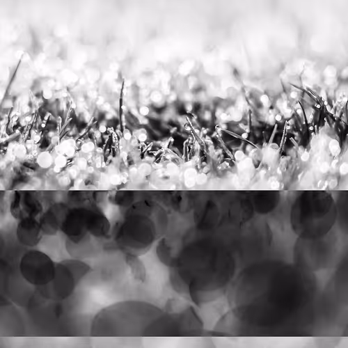 Item #16242110343075384695976872511431893746584995890381912354078390070105809616897 Media