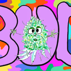 Bud 10