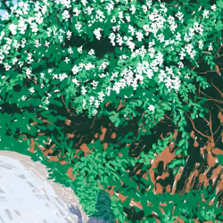 quiet seasons #23