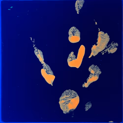 Item #82156306384610747966184862212727550247456131418142315154672423523737409683457 Media