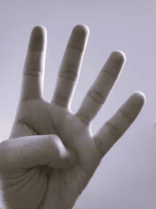 Item #56197781716024537677239957296666058743458333149567891362678828863505219715073 Media