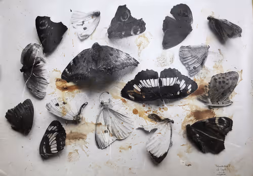 Item #109324241340754765725829693212730102349942568956095658267195131901879015964673 Media