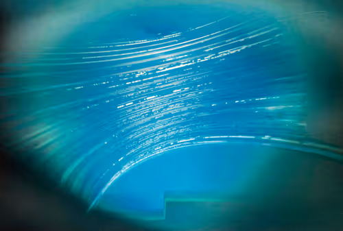 Item #2988879316739949215962448092435950075047807637106235546791651118342874333185 Media