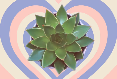 Item #8607677958191038044004830040679912821884152676576415147527512832051251249153 Media