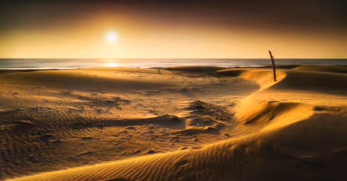 Item #94729080485503513708329965317332491879903775520225674536844109473116699230209 Media