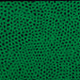 11878295692344747485184783042795144014326803638840359487267628211012454318081
