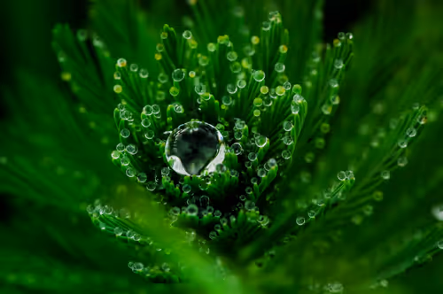 Item #15286439154353413258560728673590493507949724092509999987352070326314004905985 Media