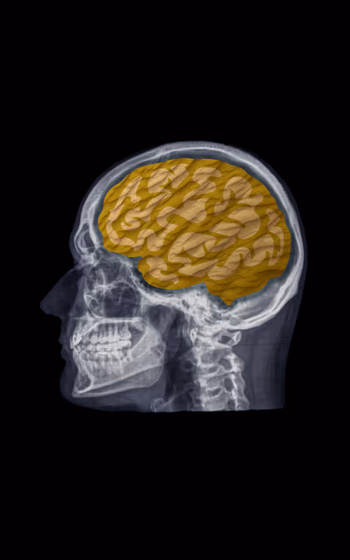 Item #24230885534779484670501703553684953274983737514794072512407783976359025442826 Media