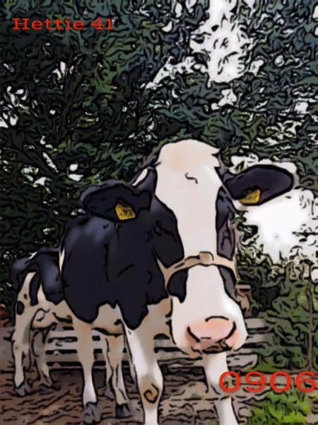 Item #106168068867162485094593885732241547229015412580842941571810197545044854964225 Media