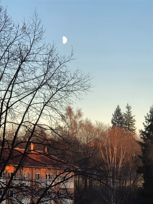 Item #93053345954396449184125693441989771853950921288224263024317593460505376194561 Media