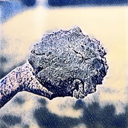 MudPi 3.1415926535
