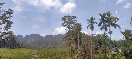 28552648014951841360055804284892198163239318494146207208074392823102231805953