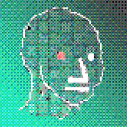 NPC #868
