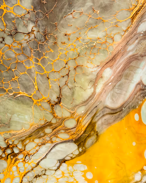 Item #29687457692452421683916759570224124960174280340362343155839281675057047273473 Media