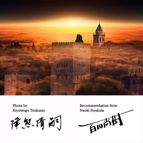 Item #50363599063163147153613145821536573388188757472313701897706766323156571389953 Media