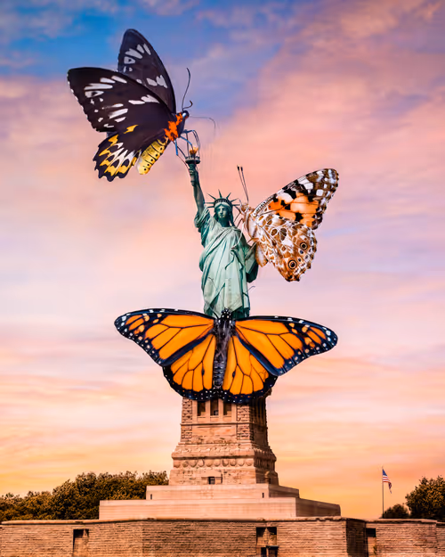 Item #44899826006193838655764715468721601160155167556143089793806025139048310374401 Media