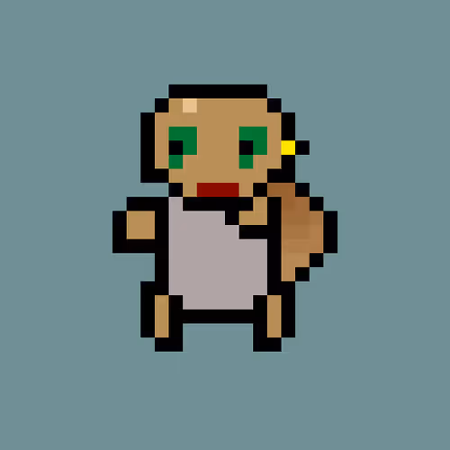 Turtle Punks