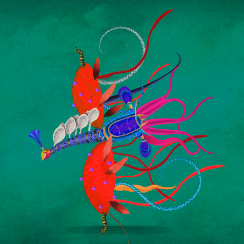 Impossible Creature #204