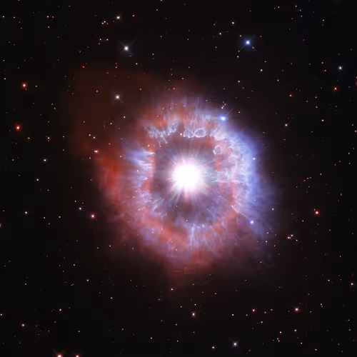 Item #86001380642520711809746068795917912746574378059869332832230730619940446928897 Media