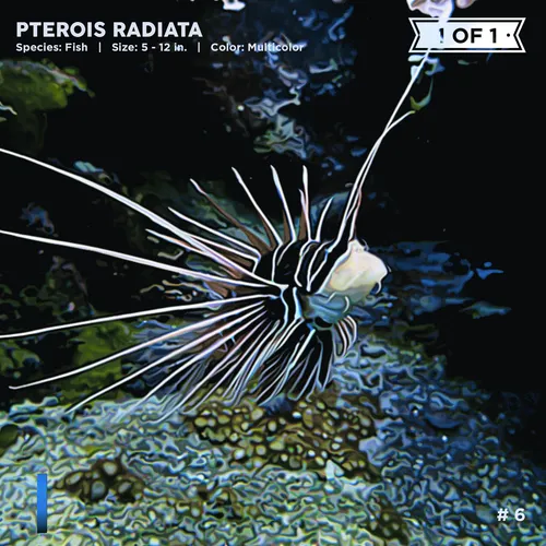 Item #72122608948950586905896945235695353296847960895015423047944334408311902306305 Media