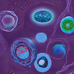 22772742530994404283160777428808967546850895120671873777941367358031296200705