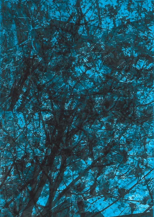 Item #40375564253889024497313303500707450347616420873030692563682046517608890499077 Media