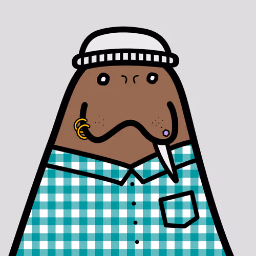 Cute Walrus Club 2