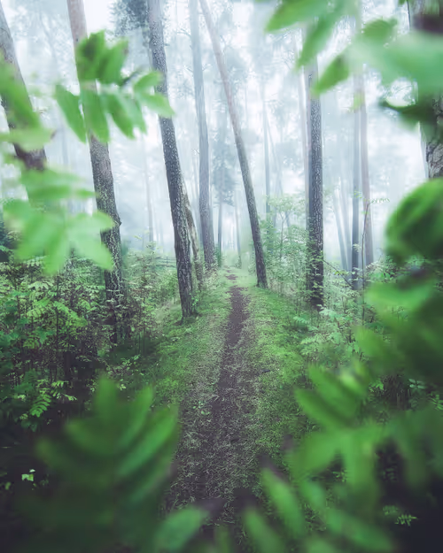 Item #134489906944514601836567189437532879130233761745768622289177271204805869569 Media