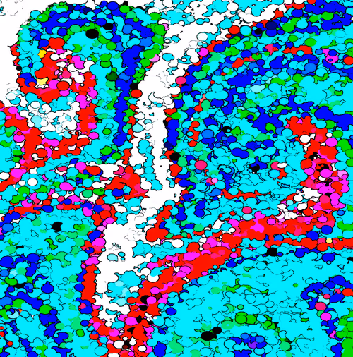 Item #115393517104113280871424152766474047841247353516515545263035208871865688784897 Media