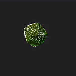 Shapesnft #048