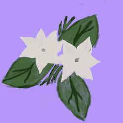 Halo-Halo 