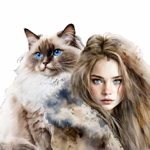 #105 【Ragdoll】