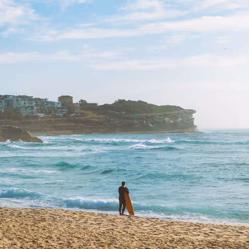 The Artist's Cut #8 - Surfer on the Shore