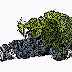 grapes #7