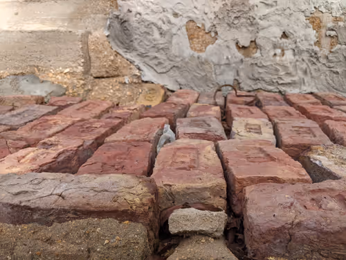 Item #68930698527264809190468656590261820993623292496804910864436067675527484276737 Media