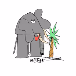 Time for palm tree
