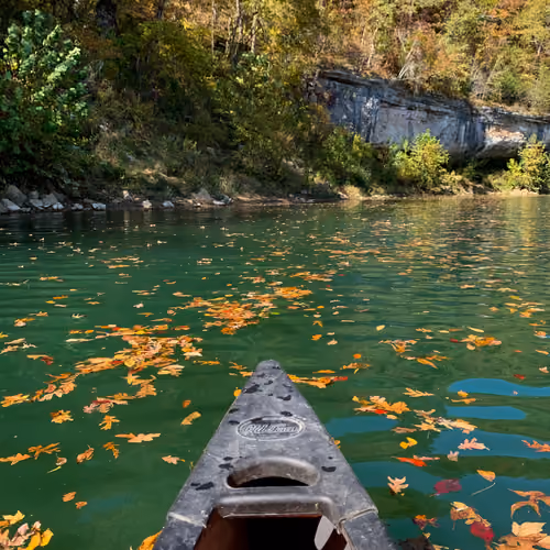 Water "Fall"