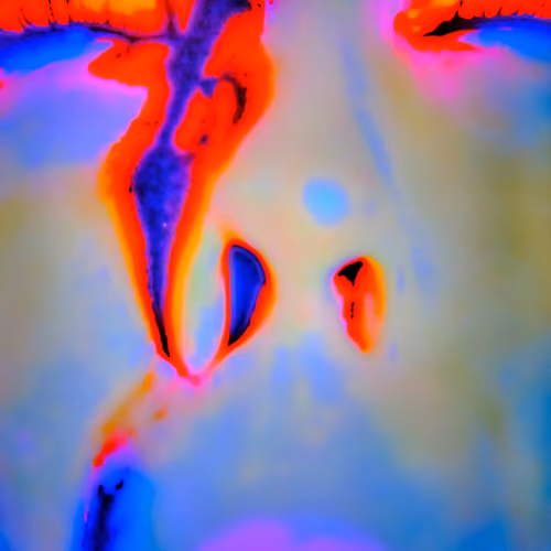 Face #6