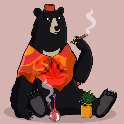 Item #66075445032688988859229341194671037535804503065310441849644897920414499471361 Media