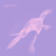 20537471166803336483697920459392139182541277411208615206121837271282901581825