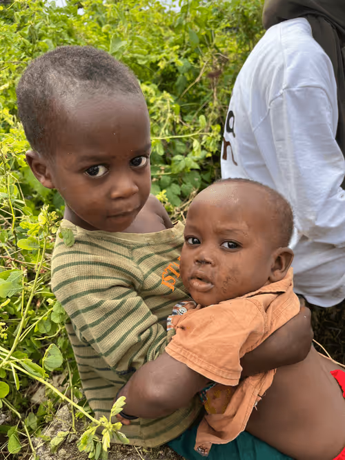 Item #56530305856873044538432398284863534629258124797706589154643470580282866794497 Media