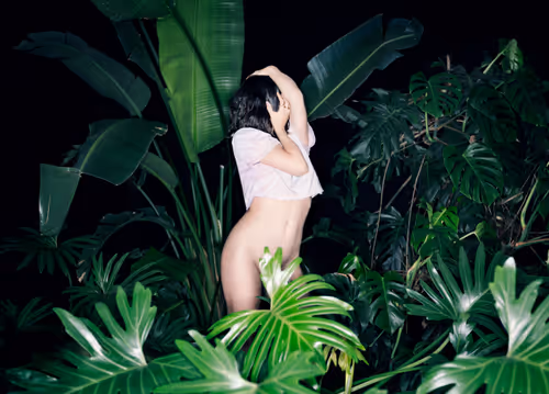 Item #29225512278462627521798648337765154625875213490195303772458487968055294951427 Media