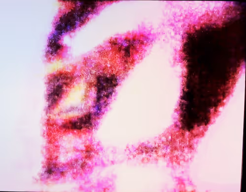 Item #84884648772798605508728099244731032942032694472898999087808139351837097590785 Media