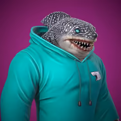 Angry shark