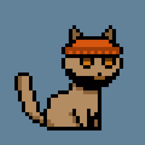 PunkCat #5078