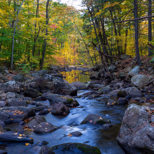 Autumn Flows and Glows