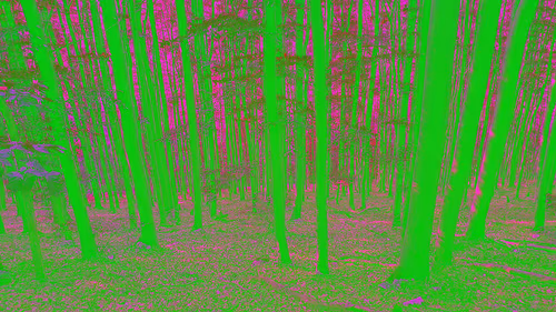 Item #81311623154221304056404739507170303613428233805736578014873159296086018359297 Media