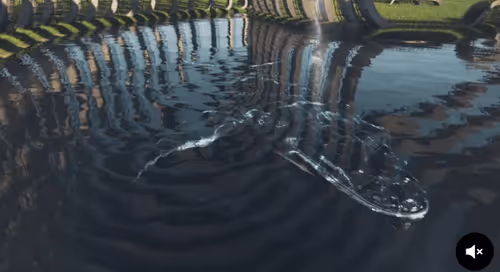 TheManThatLovesToHelpPeople Collection